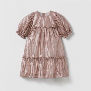 Zara Shimmering Bronze Ruffle Top
